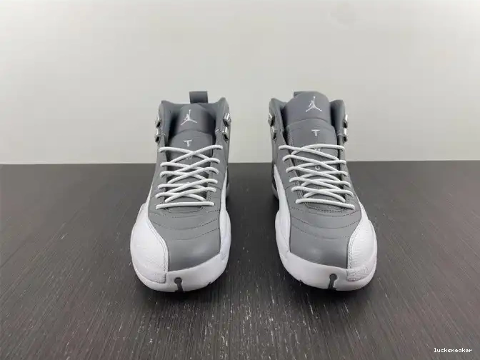 Reps LUCY CT8019-060 9 Jordan Grey Retro Particle 0529